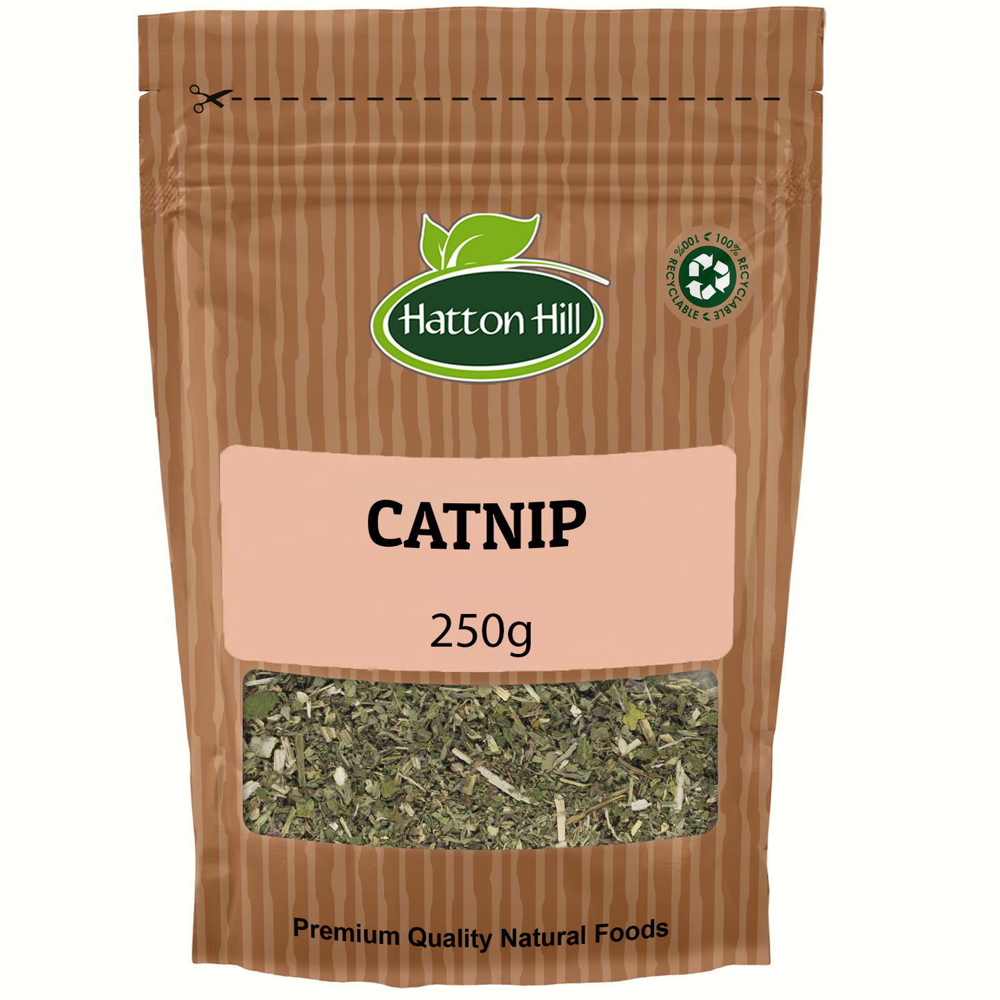 Catnip
