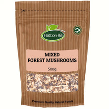 Mixed Forest Mushrooms